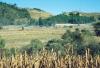 Guatemalan Countryside